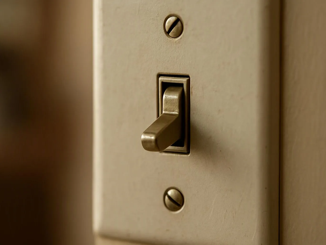 A beige wall light switch with a metal toggle and two visible screws is shown in close-up